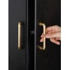 JIASENBAO 5 Pack Gold Cabinet Pulls 3.75" Hole Center Brushed