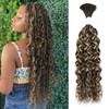 Liqusee Water Wave Curly #4/27 Human Braiding Hair 100g One