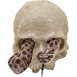 Dnoifne Schlangenhöhle, Reptilien-Aquarium Schädel-Deko, Resin-Skelettkopf Versteck, Terrarium-Zubehör, Reptilienverstecke für Fische, Bartagamen, Ballpythons, Leopardgeckos, 12 x 9 x 9,5 cm