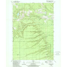 Michigan Maps - 1989 Sprinkler Lake, MI - USGS Historical Topographic Wall Art : 18in x 24in, Large Wall Art Map
