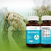Suplemento Alimenticio Vitam. C+ Moringa + Té Verde Biosuple