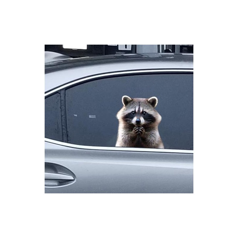 Animal Car Window Decals Funny 3D Weatherproof Decals (Raccoon)
