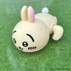 Lilic Chiwa, Suisui, Rabbit