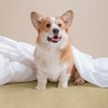 Utopia Bedding Mattress Protector, 160 x 200 x 30 cm,