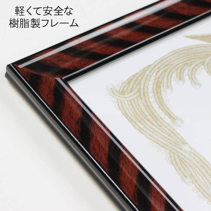 Iwata PSKR-PET-SP-B5 PET B5 Picture Frame, Award Plaque, Gold Rack,