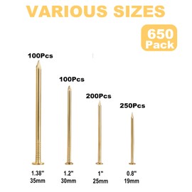 Gold Picture Hanging Nails Kit 650 Pcs - 4 Sizes Premium Galvanized Steel Wall Nails with Storage Box for Frames, Photos, Artworks