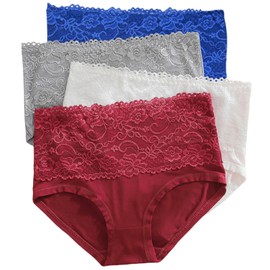 WhilyeePam Womens Underwear Plus Size High Waist Lace Panties Briefs 4 Pack Nylon Lace Underwear Pack Ladies Panties Plus (US, Alpha, 6X-Large, Plus, Regular, 4 pack)