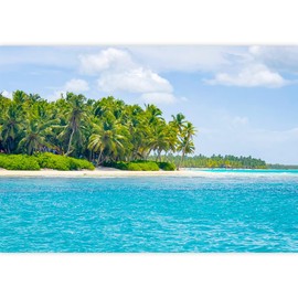 SIGNWIN Removable Wall Sticker/Wall Mural Green Palm Tree Island Vibrant Ocean Nature Wilderness Photography Realism Decorative Landscape Rustic for Living Room, Bedroom, Office - 100x144