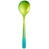 Horie Titanium Cutlery Cutlery Spoon Gradient Green TC-21-06