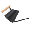 Watering Can with Long Spout 800ml Stainless Steel Matte Indoor