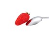 YFOX Fruit Spoon, Stainless Steel Spoon, Grapefruit Spoon, Dessert Spoon,