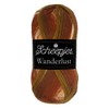 Scheepjes Wanderlust 1x100g - 451 Vermont