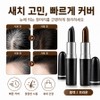 Gray Hair Cover Stick Gray Hair Partial Cover Hair Color Stick Black Brown, 1 Piece / 새치커버 스틱 흰머리 부분커버 헤어 컬러 스틱 블랙 브라운, 1개