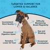 Animal Essentials Colon Rescue for Dogs & Cats - Constipation