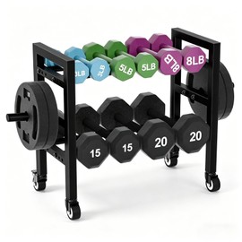 2-Tier Dumbbell Rack Small Weight Rack For Home Gym 350LB Capacity