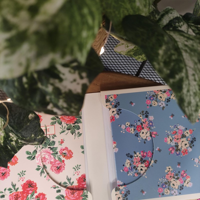 Cath Kidston Set of 10 Notecards and Envelopes - 5