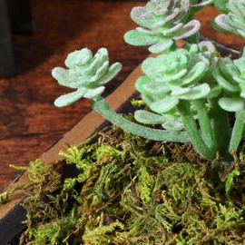 STOBAZA Moss Lichen in Bag - Realistic Green Plants for Diorama, Miniature Landscaping - DIY Scenery Model Decor for Train Sets, Home Office Wedding