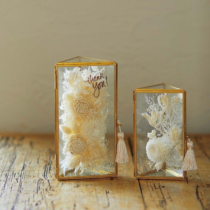 Daichiyouen DO032081-010 Dried Flowers, Solar Rose, Small, Approx. Flower Diameter