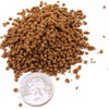 Pisces Pros HBH Frog and Tadpole Bites Aquatic Frog Food