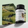 Earthville 어스빌 알파CD 알파시클로덱스트린 알파싸이클로덱스트린 120캡슐 1개 Usbeel Alpha CD