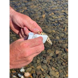 Pro-Cure Big Muskie & Pike Bait Waxx, 0.55 Ounce, Tan