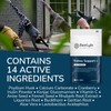 BestLyfe Kidney Support | 60 Capsules | Liver & Kidney