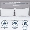 Pillowtex Like Down Pillow for Sleeping - Standard Size Bed