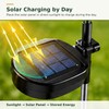 Solar Flower Lights for Garden Decor – Waterproof LED Rose