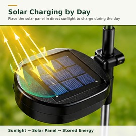 Solar Flower Lights for Garden Decor – Waterproof LED Rose & Sunflower Lamps for Lawn, Yard & Outdoor Landscape