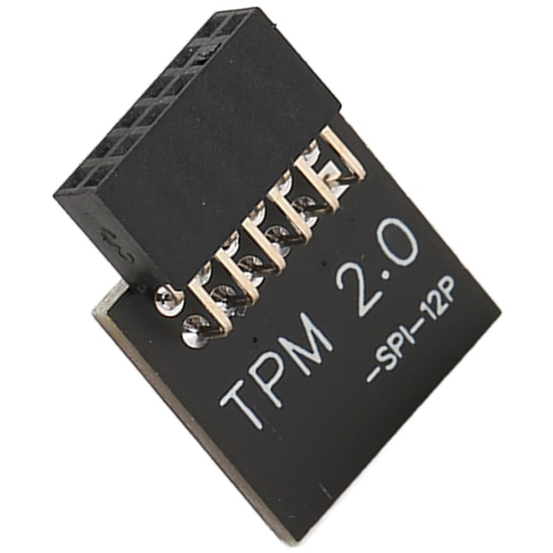 TPM2.0 Encryption Security Module for GIGABYTE Mainboard SPI 12Pin Security