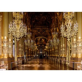 Loccor Fabric 6x4ft Luxurious Palace Backdrop for Photography Palais Garnier Medieval Chandelier Opera House Paris France Background Wedding Ceremony Photoshoot Girls Lover Portrait Photo Studio Props