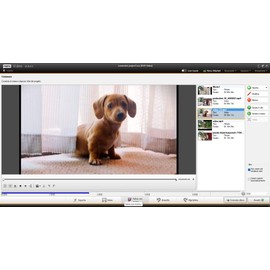 Nero Platinum Unlimited | Video Editing | Backup | Manage and Play Media | 8K | Photos | Music | PC Tuneing | 1 PC | Windows 11 / 10 / 8 / 7