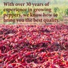 The Spice Way Harissa Seasoning - A Spicy Hot Spice