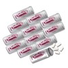 SUGAR FREE Teaberry Gum, 12 pack (20 pieces per container)