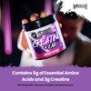 Warrior Creatine Monohydrate Plus EAA – 30 Servings Muscle Recovery