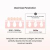 Biodance [Biodance]Pore Perfecting Collagen Peptide Cream 50ml