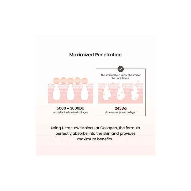 Biodance [Biodance]Pore Perfecting Collagen Peptide Cream 50ml