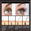 Lidoria Suero Para Crecimiento De Pestañas Y Cejas 10 Ml