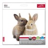 Speedlink Silk Mauspad Hasen (weiche Oberfläche, geringer Gleitwiderstand, gummierte Unterseite,