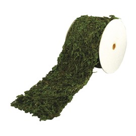 Rayher 5531800 Moss Ribbon 10 cm Wide by 200 cm long