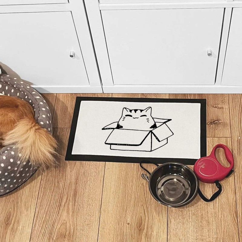 'Cat Sat In Box' Pet Feeding Mat (PM00007227)