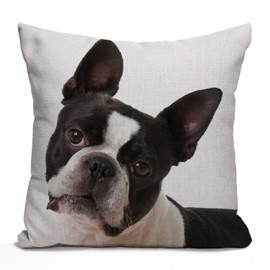 Tomda French Bulldog Decorative Cushion Cover 45x45cm,Boston Terrier Cotton Linen Outdoor Pillow Cases Square Standard Throw Pillow Cover Case for Sofa Couch Bed Car 18x18 inch