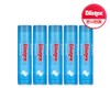 Blistex Sensitive Lip Balm 4.25g x 5 / 블리스텍스 센시티브 립밤 4.25g x 5개