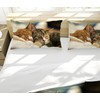 JEFFEL Cat Bedding Set 135 x 200 cm, Animal Motif,