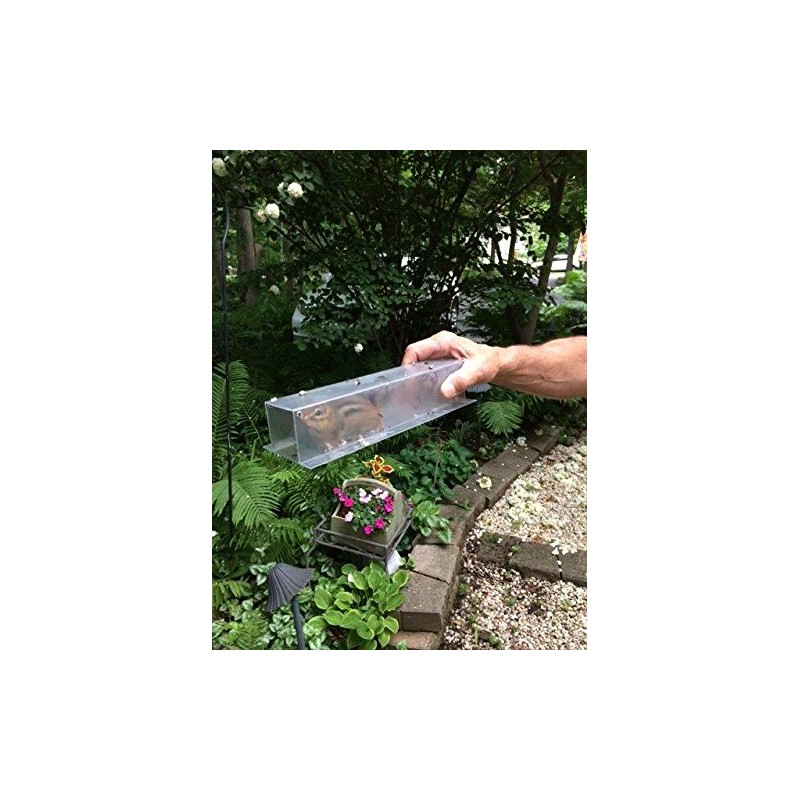 Easy Chipmunk Trap (2 Pack)