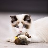 Vealind GiGwi Electronic Pet Toy for Dogs and Cats, Lifelike