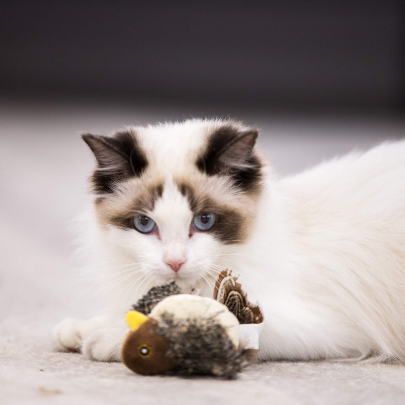 Vealind GiGwi Electronic Pet Toy for Dogs and Cats, Lifelike