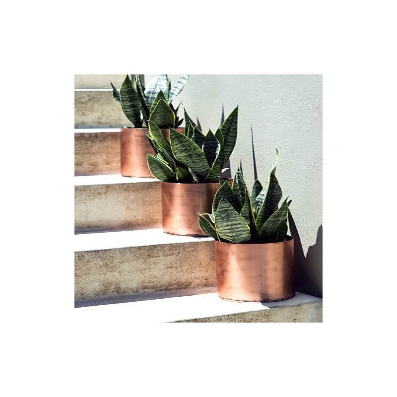 Rust-Oleum 7273830 Stops Rust Metallic Spray Paint, 11 oz, Copper