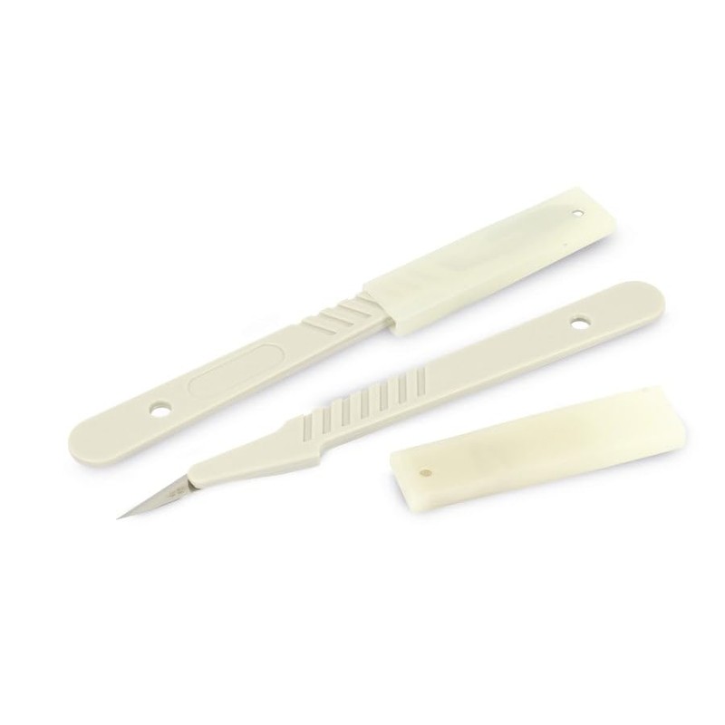 DAYTOOLS Scalpel Set ES-10 Sterile (10 Pieces)