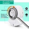 Clear Power 2-Outlet Indoor 24 Hour Mechanical Timer with Outdoor